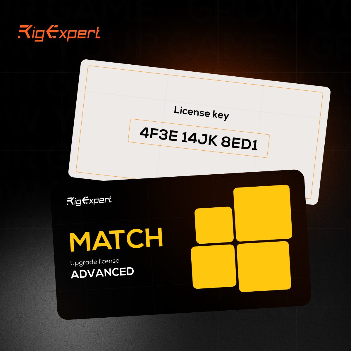 RigExpert MATCH ADVANCED
license