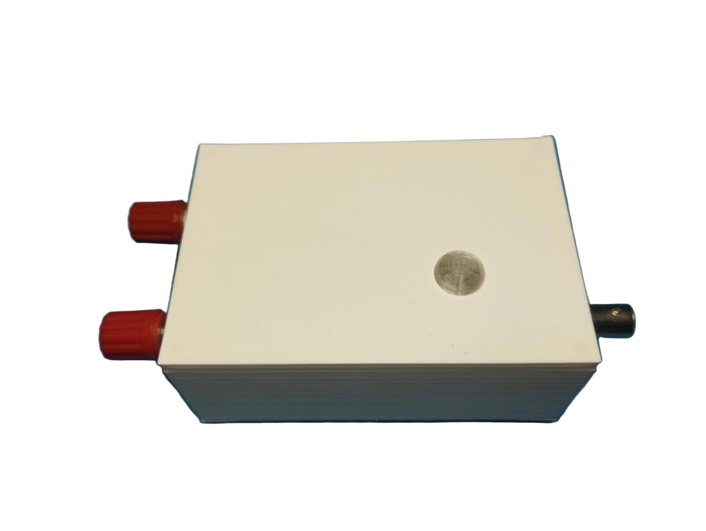 FLG100LN Amplificatore Antenna Replica Wellbrook